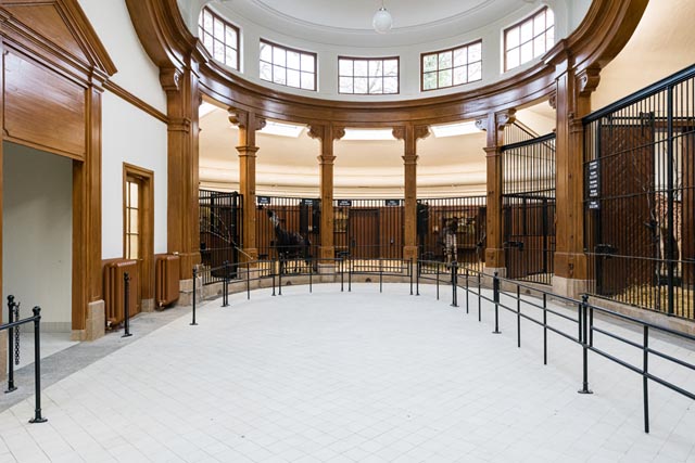 Das Antilopenhaus, das älteste Tierhaus im Basler Zoo, erstrahlt von innen und aussen in neuem Glanz. Foto: Zoo Basel