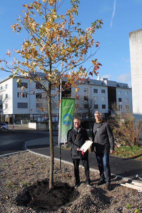 Stadtammann Hans Gloor unterschrieb die Bescheinigung für die Pflanzung des Baums. Die Urkunde kommt ins Stadtarchiv. Foto: Sonja Fasler Hübner