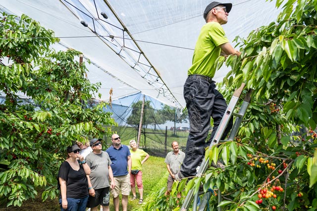 Bild: Bietet spannende Einblicke in die landwirtschaftliche Produktion: Tag der offenen Hoftüren. Foto: zVg